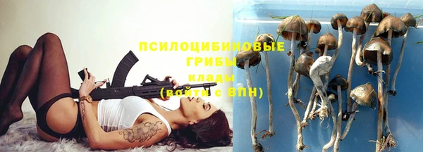 соль ск Каменка