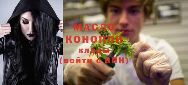 соль ск Каменка