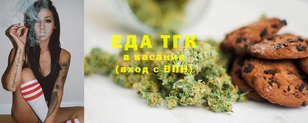 МДПВ Каменногорск