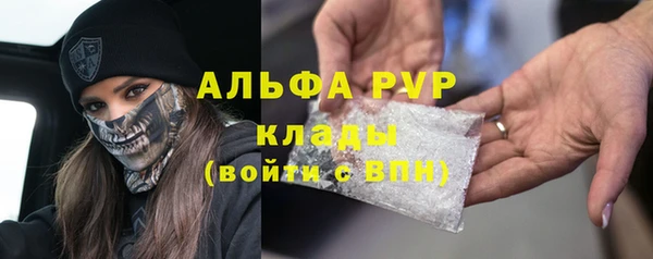 соль ск Каменка