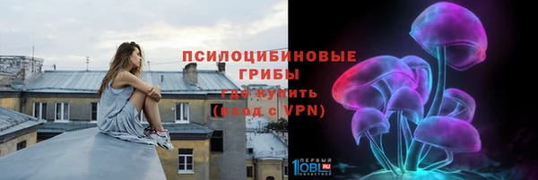 МДПВ Каменногорск