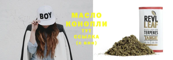 МДПВ Каменногорск