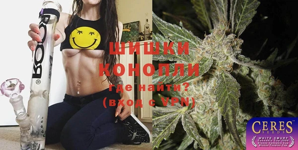 соль ск Каменка