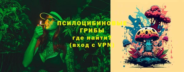 МДПВ Каменногорск