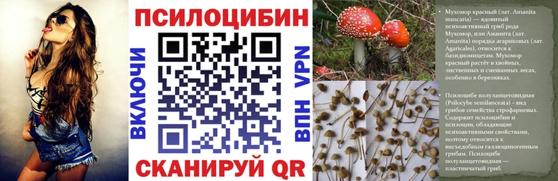 Купить закладки  Гороховец  Псилоцибиновые грибы мухоморы 
