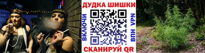 Купить где  Гороховец  Бошки Шишки Amnesia 
